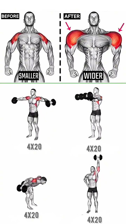 The Only 4 Dumbbell Exercises You Need for WIDER Shoulders