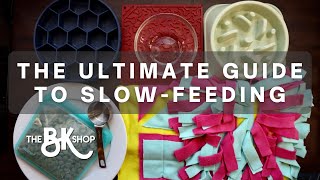 How to Slow Feed Your Dog | Dog Slow Feed Products & Hacks