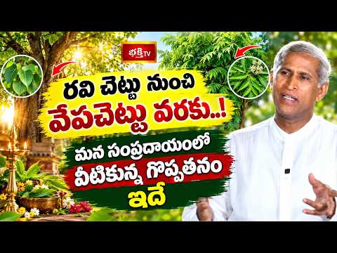 రవి చెట్టు నుంచి వేపచెట్టు వరకు..! మన సంప్రదాయంలో వీటికున్న గొప్పతనం ఇదే |Dharma Sandehalu