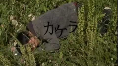 長編映画「カケラ」予告