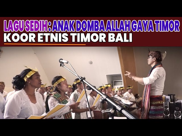 LAGU SEDIH : ANAK DOMBA ALLAH - GAYA TIMOR DAWAN - KOOR ETNIS TIMOR BALI class=