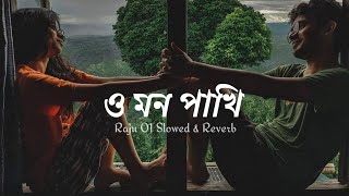 Download Lagu O Mon Pakhi | slowed \u0026Reverb | Koel | Hiraan | Shreya Ghoshal | Rana Majumder | Jeet Gannguli MP3