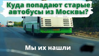 Куда попадают списанные автобусы из Москвы? Чем Омск похож на Сыктывкар? Едем на Восток / Блог 3