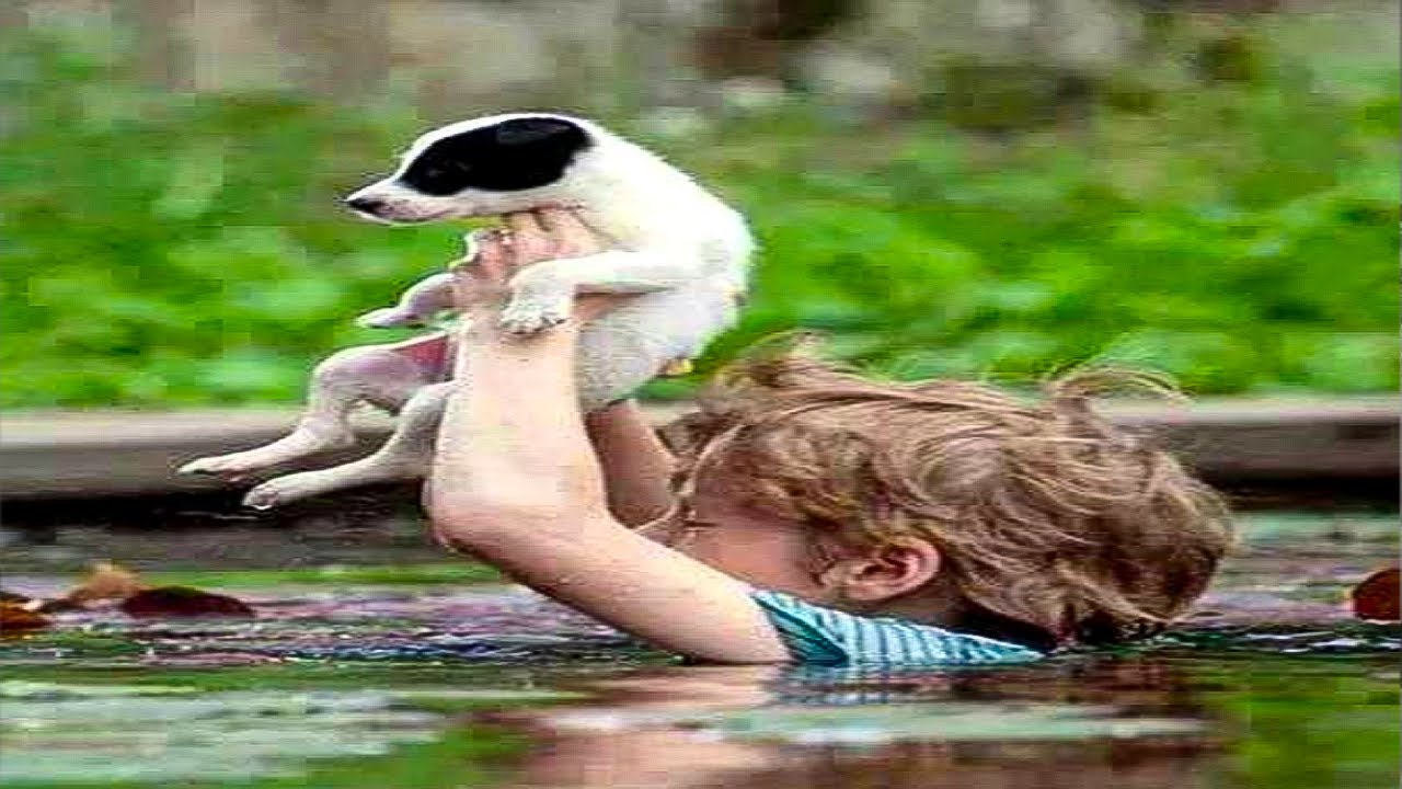 This is What This Brave Kid Did to Save His Beloved Dog - YouTube