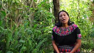 Hear from Teresa in Guatemala