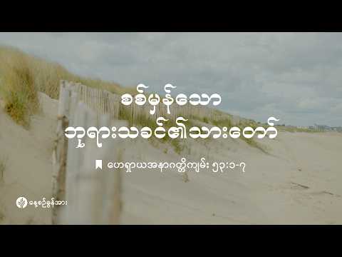 နေ့စဉ်ခွန်အား ၂၀၂၆ ခုနှစ် | သြဂုတ်လ ၂၃ ရက်