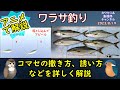 《アニメで解説：【ワラサ釣り】の釣果UPのコツ》【ワラサ】の【釣り方】、釣り方のポイントと【コマセ】の振り方を詳しく解説。【船釣り】、沖での【釣り】に関してです。