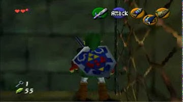 Shadow Temple fence/gate clip setup