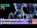 Gcse pe  movement at joints  anatomy and physiology skeletal and muscular system  13