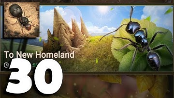 The Ants: Underground Kingdom - Gameplay Part 30 (Android, iOS) - To New Homeland