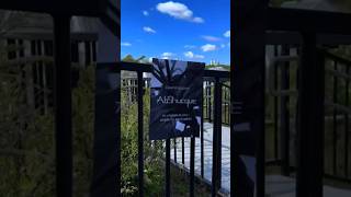 Sustainable Elegance Abstrucque