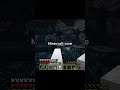 Minecraft core