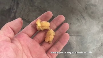 Semi-automatic turnplate type machine used for removing seeds of plums