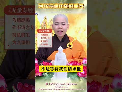 阿弥陀佛作你的朋友 | 净平法师 开示 | 净土宗经句法语分享[4]