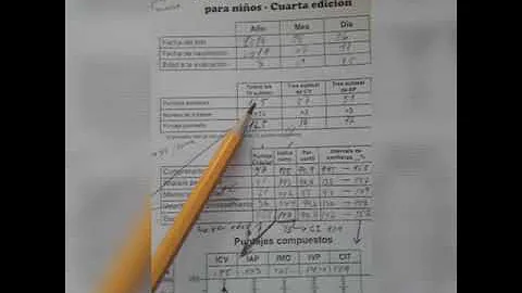 Quais os três níveis de interpretação do WISC IV de modo geral o que eles avaliam?