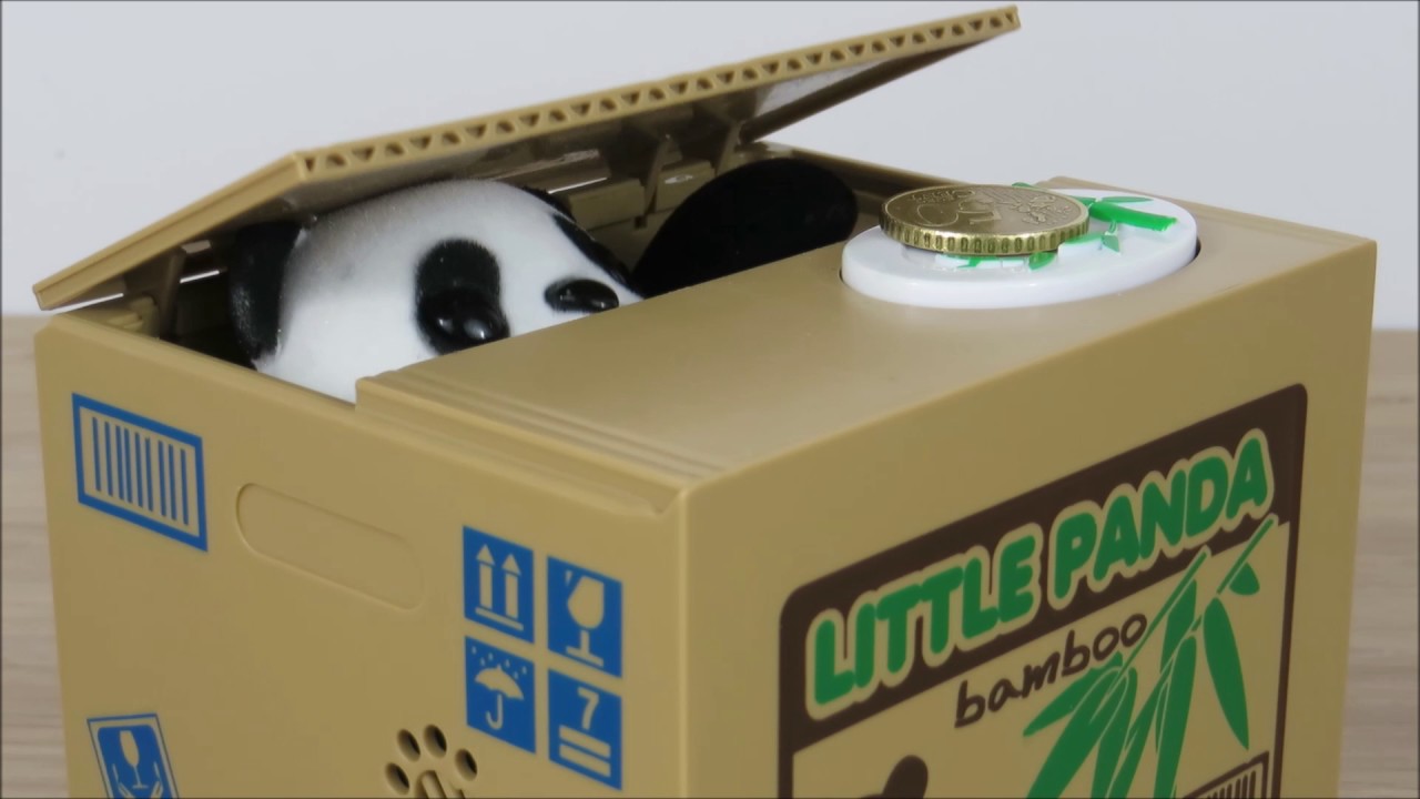 Tirelire panda boite fond vert