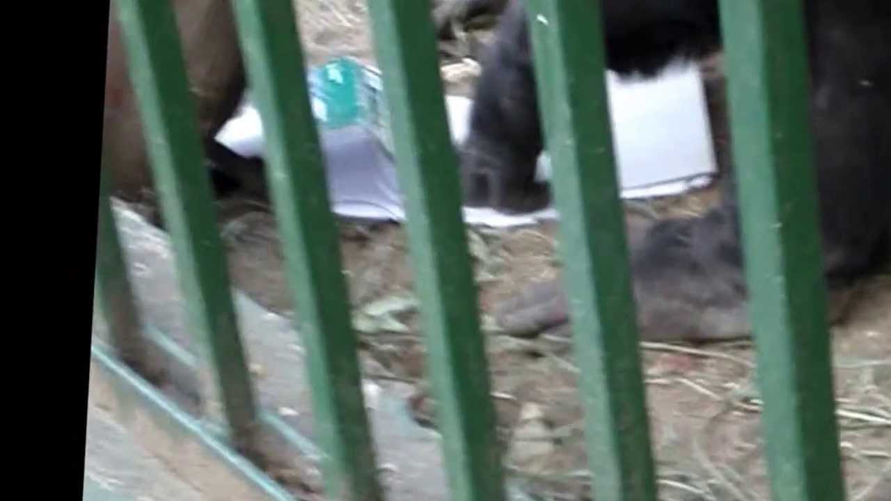 Toti escribiendo, con Alejandra