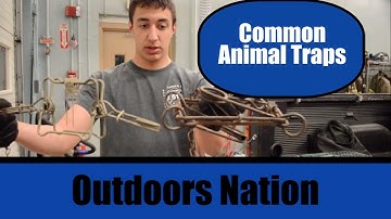 Common Animal Traps [HD]