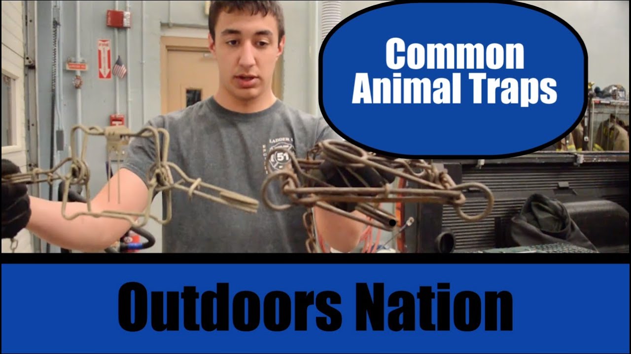Common Animal Traps [HD]