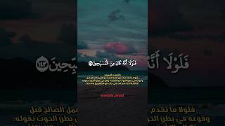 فلولا أنه كان من المسبحين❤️ #سورة_الصافات #عمير_شميم #تلاوة_خاشعة #صوت_جميل #قرآن_كريم #الجزائر #دعم