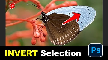How to INVERT Selection in Photoshop