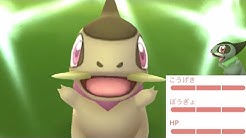 Onepoke Onepoke