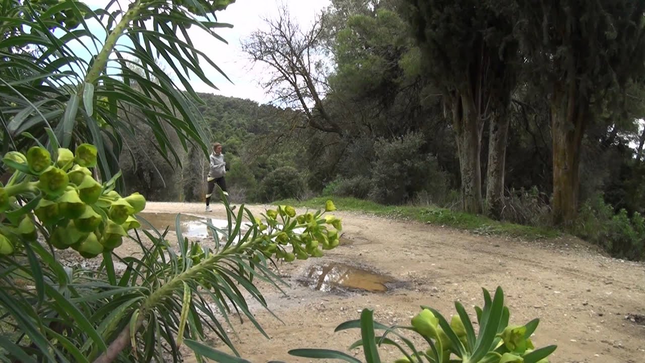 Αερόβια Άσκηση (περπάτημα & τρέξιμο)