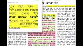 הדף היומי מסכת פסחים דף עג Daf yomi Pesachim daf 73 שמואל נבון.