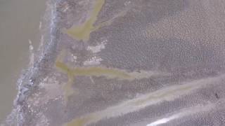 Marsh Island 5-25-17