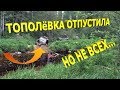 Дорога на Витин Бор День 8