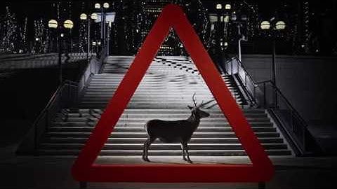 New Range Rover Evoque – Warning Signs