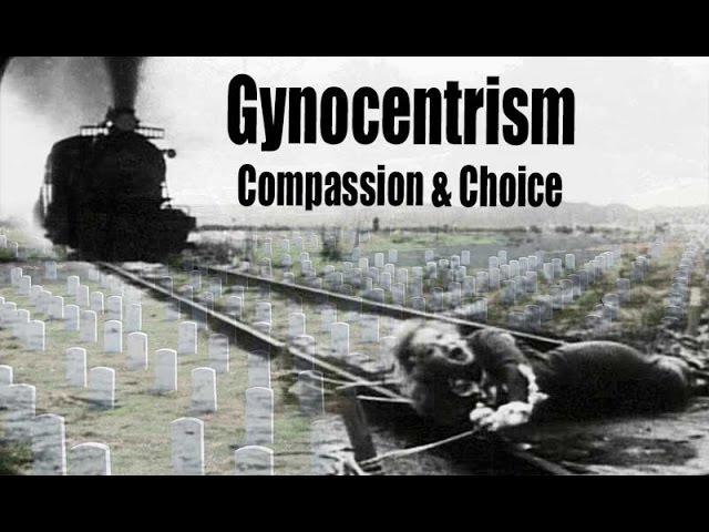 Gynocentrism: Compassion and Choice for Men