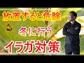 【ガーデニング】プロガーデナーが実践!イラガ対策は冬が勝負!繭駆除で被害予防