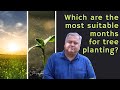 The most suitable months to plant trees | Peepal Baba