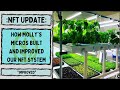 Microgreen N.F.T. walk-through with Molly's Micros!! On the Grow