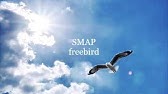 カラオケ Freebird Smap Youtube カラオケ Freebird Smap Youtube