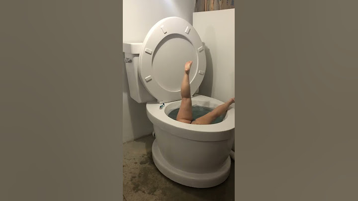 Worlds Largest toilet handstand #shorts
