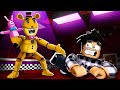 Laire de jeux de roblox freddys freddys playground