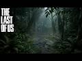 The Last of Us Ambience 🌿 | Overgrown City Park & Heavy Rain | Abandoned Trail