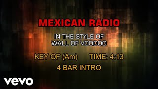 Video thumbnail of "Wall Of Voodoo - Mexican Radio (Karaoke)"