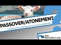 If Jesus is our atonement, why did He die at Passover instead of the Day of Atonement?