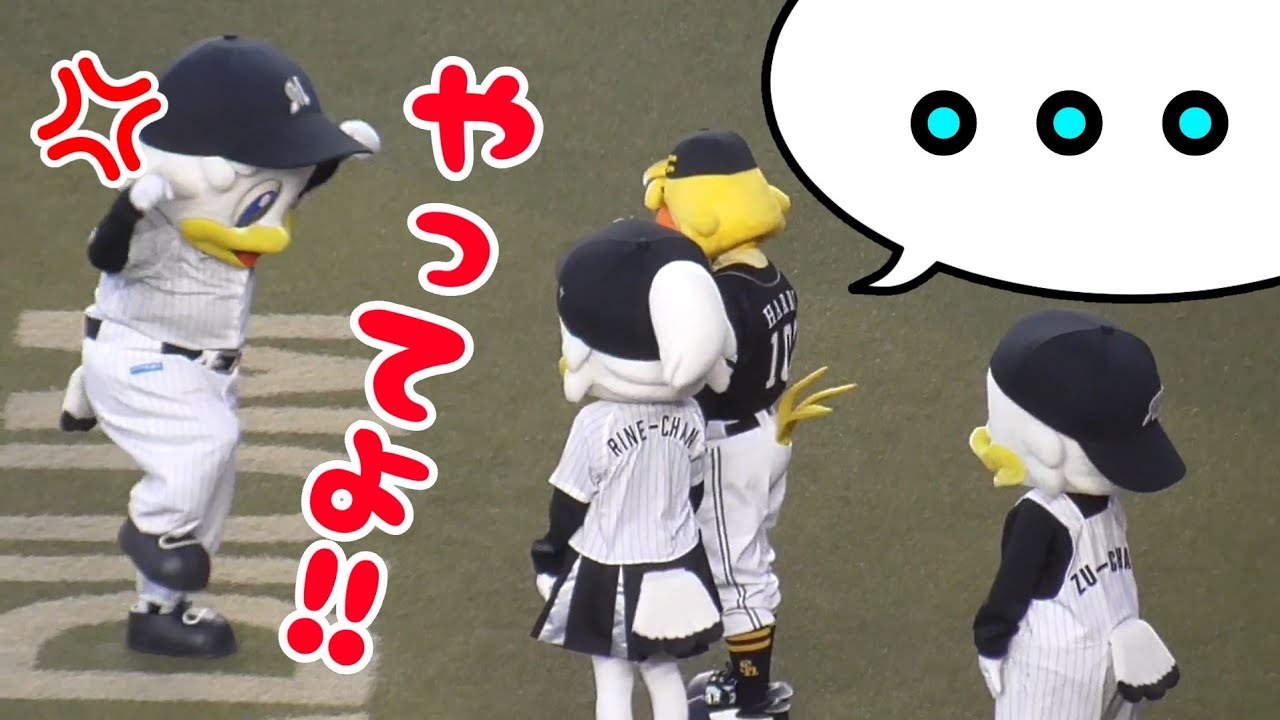 マーくんのダチョウ倶楽部ジャンプ芸に従わない鷹とカモメ（2025/8/30）