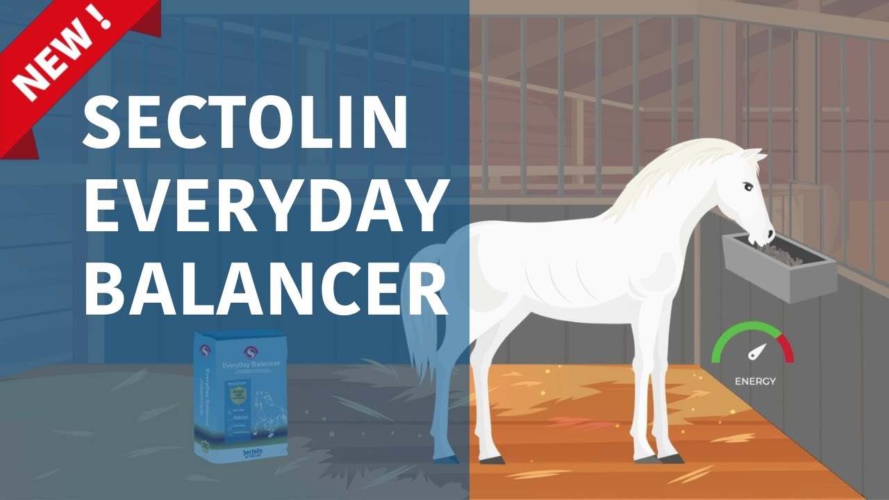 Sectolin - EveryDay Balancer