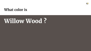 Willow Wood color #58504d hex color - Grey color - Cool color 58504d