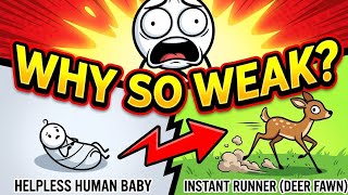 The Shocking Reason Human Babies Are Born Weak