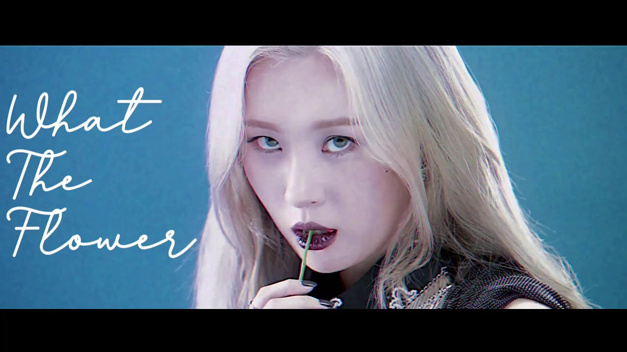Sunmi - What The Flower (slowed and reverb)