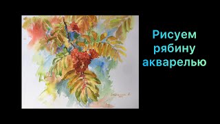 Рисуем Рябину Акварелью