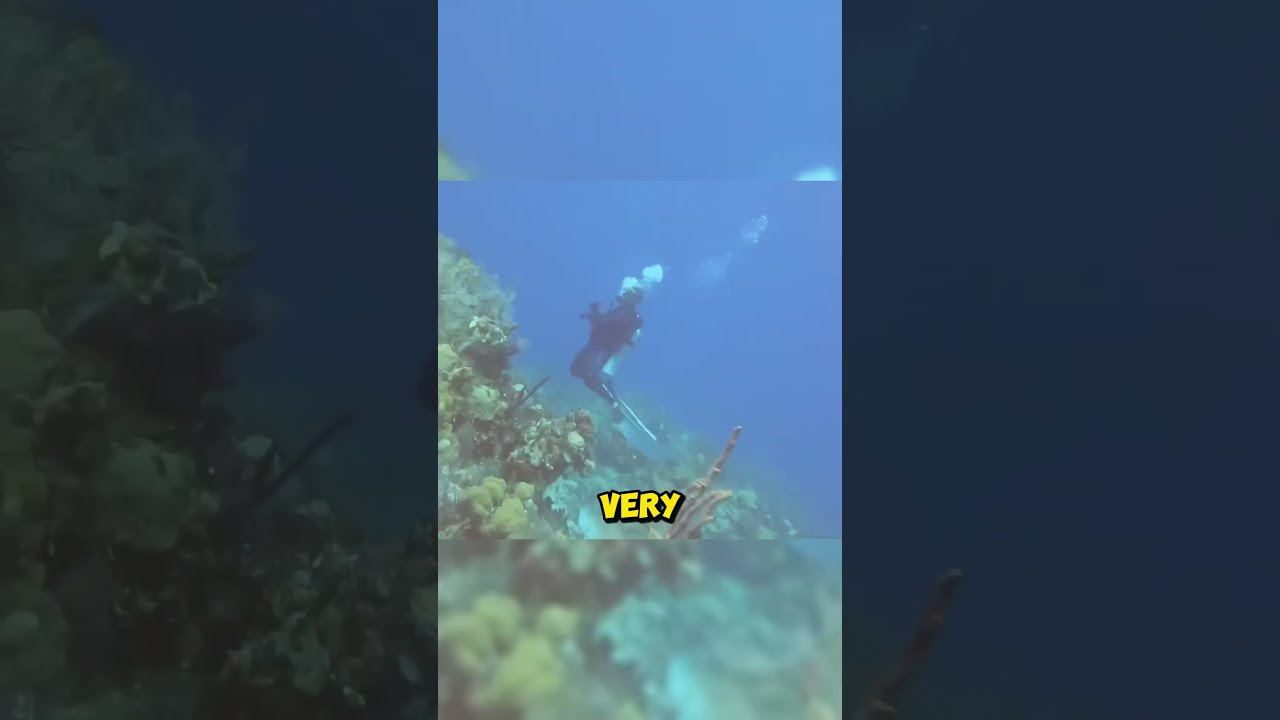 If You Hear This Sound Underwater Are Dead 