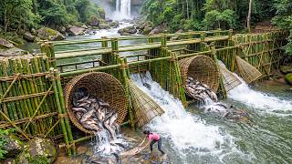 Download lagu Beautiful Girl Harvests Tons of Wild Fish from the Da River and Transports Them to Market to Sell