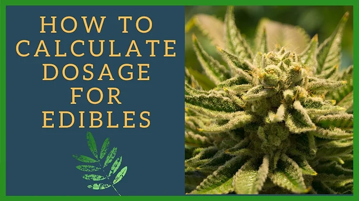 Master the Art of Calculating THC Dosage for Homemade Edibles